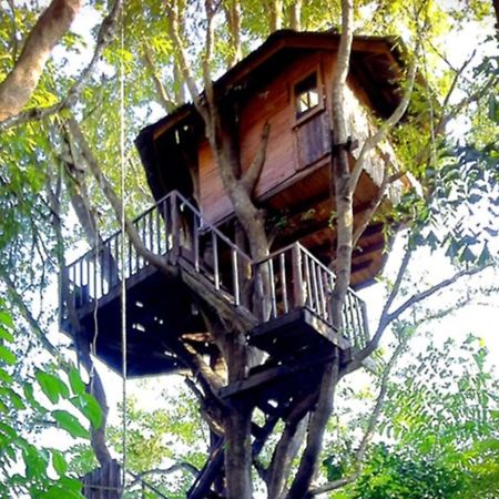 Rabeang Pasak Tree House Resort Τσιάνγκ Μάι Εξωτερικό φωτογραφία
